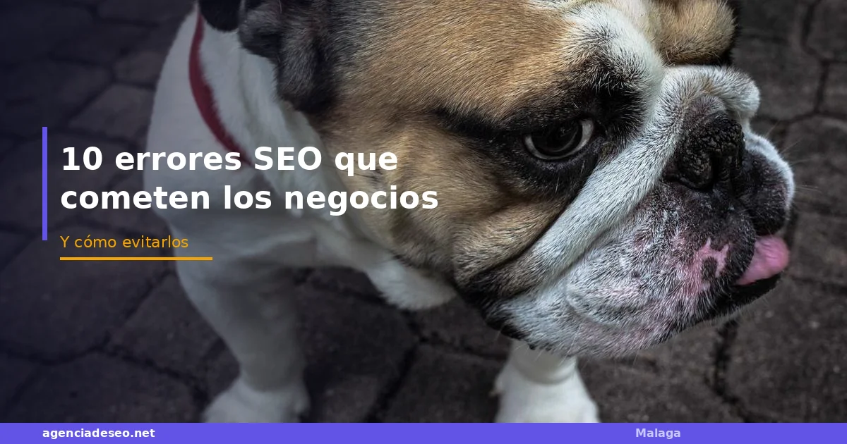 10 errores SEO que cometen los negocios de Málaga